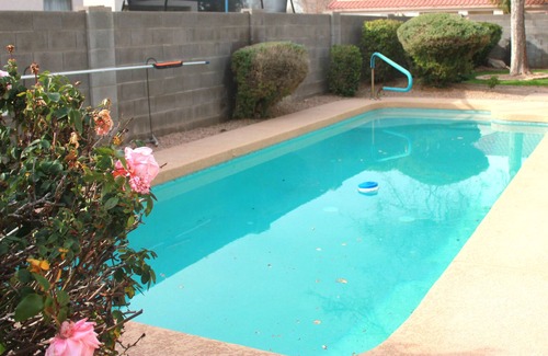 Mesa House | Beautiful/Comfy/Love Pets/Pool/Patio/WC Access/Near 202S /N & Gateway Airport