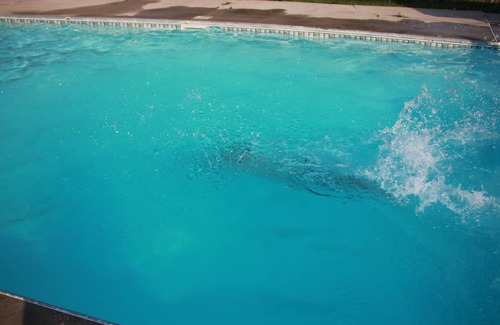Lumberton House | Beautiful country house, huge pool, sapcious living room with privacy doors.