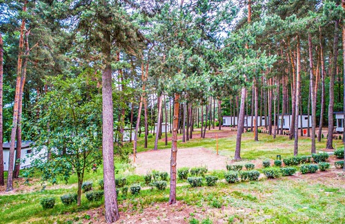 Swiecie House | Beautiful home in Sulnowo with sauna