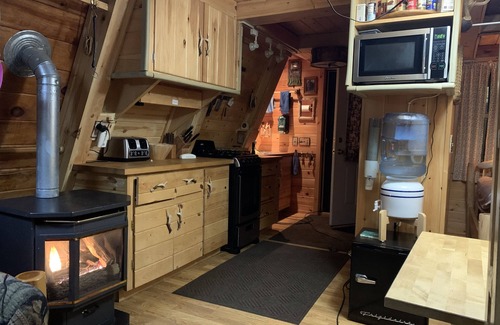 Cook Cabin | ❤️ Beautiful Lake Vermilion Private Island Rental ❤️