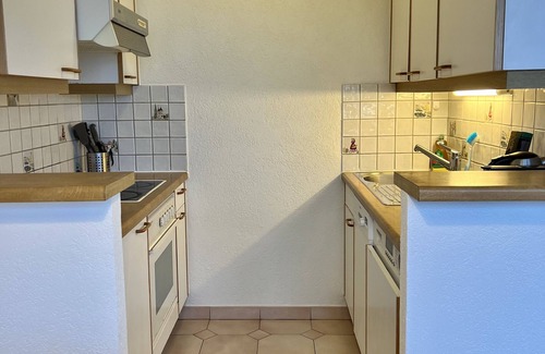 Petit-Saconnex Apartment | Beautiful Park View apartment next to UN
