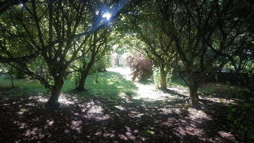 Kimbolton House | Beautiful Rural Retreat, Family friendly - Escape!