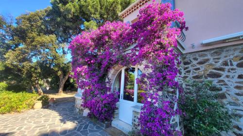 Le Rayol Apartment | Beautiful sea view, AC, garden, beach minutes away by foot!