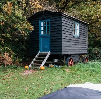 Liss Other | Beautiful, Secluded Shepherd's Hut in the National Park
