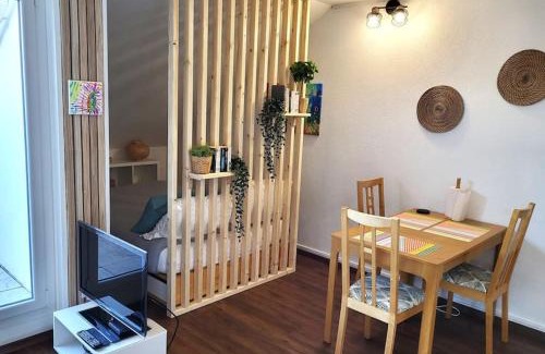 Ferney-Voltaire Apartment | Beautiful Studio at Geneva airport Ferney Voltaire
