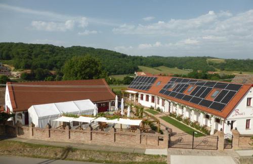 Palkonya Bed & Breakfast | Beck's Borveranda Palkonya