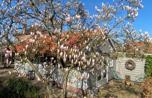 Medemblik Apartment | Bed and Breakfast Het Emmapark Medemblik