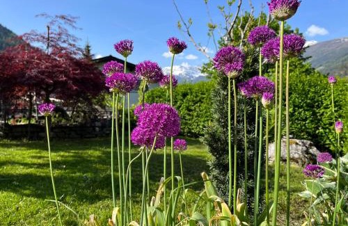 San Carlo Bed & Breakfast | Bed and Breakfast Il Cardellino