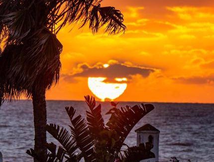 El Mansouria Bed & Breakfast | Bed and breakfast