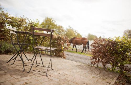 De Bus Bed & Breakfast | Bed & Breakfast de Bimd Hoeve