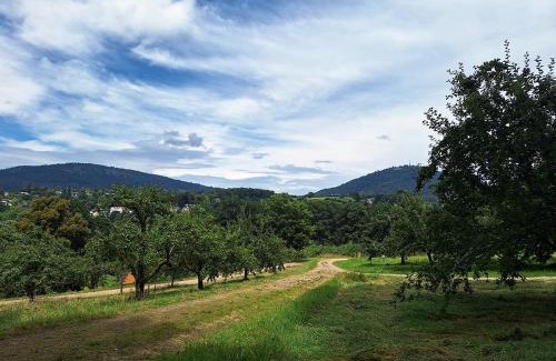 Baden-Baden Bed & Breakfast | Bed & Breakfast Grünes Gold am Leisberg