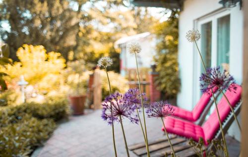 Bellersheim Bed & Breakfast | Bed & Breakfast Unter den Linden