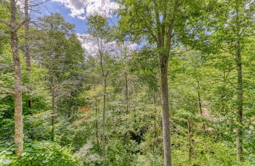 Sugar Mountain Apartment | Bee Branch 44