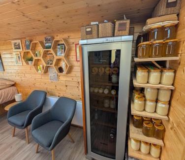 Boranovice House | Bee house