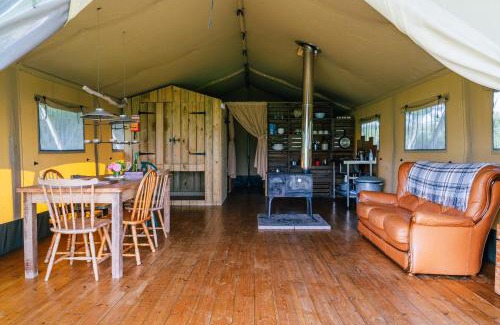 Honiton House | Beech