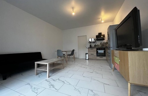 Limoges Apartment | Bel Appartement en Centre Ville