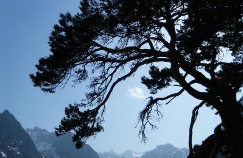 Cauterets Bed & Breakfast | Bel Arrayo - gîte d'accueil de montagne - chambres d'hôtes