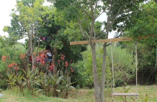 Balneario Buenos Aires Bed & Breakfast | Beleza Pura B&B