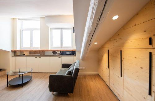 Boucle - Gros Caillou Apartment | Belfort - Joli appart climatisé coeur Croix Rousse