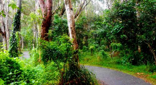 North Haven Bed & Breakfast | Bella Vista B @ B
