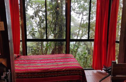 Tandayapa Cabin | Bellavista Cloud Forest Lodge & Private Protected Area