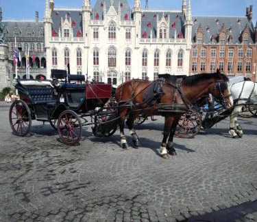 Oostkamp House | Belle Vie Comfortable guest house near Bruges
