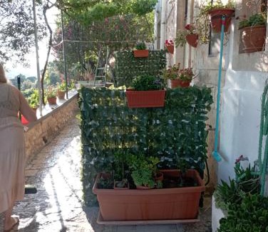Centro Storico House | Belvedere