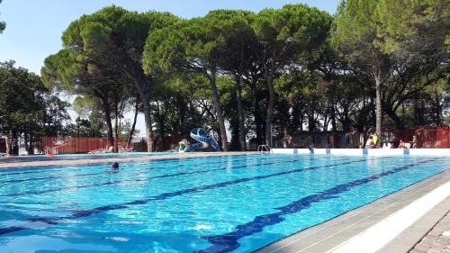 Aquileia Resort | Belvedere Pineta Camping Village Grado