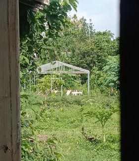 Blitar House | Ben Angler Homestay