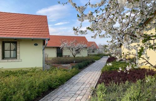 Cegled House | BÉNI family wine farm
