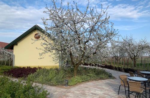Cegled House | BÉNI family wine farm