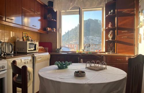 Berat Apartment | Berat Apartment Erifili