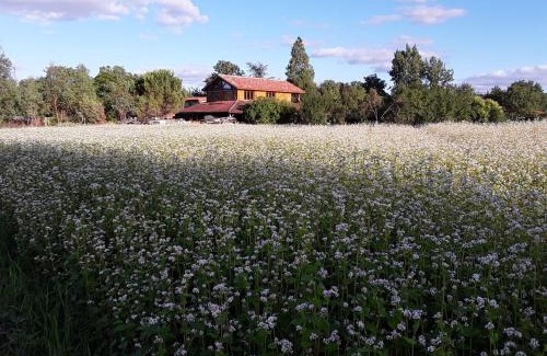 Lagraulet-du-Gers Bed & Breakfast | Berdale