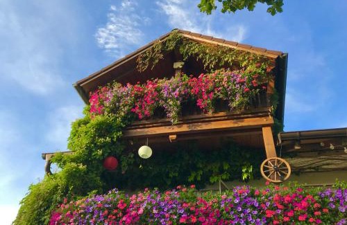 Weilheim Apartment | Bergblick