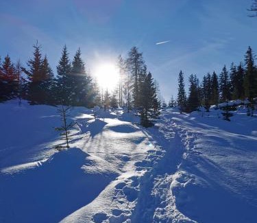 Arzl im Piztal Apartment | Bergheim