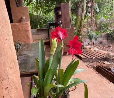 Buon Ma Thuot House | Berry homestay 1