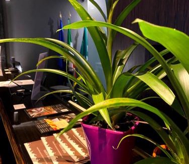 Soncino Hotel | Bes Hotel Cremona Soncino
