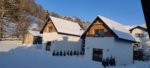 Wisla House | Beskid Ski Villa