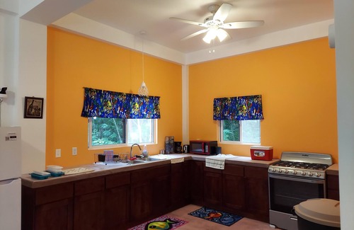 Corozal Cabin | Best Combination of the Water, the Jungle, and Nearby Urban Life