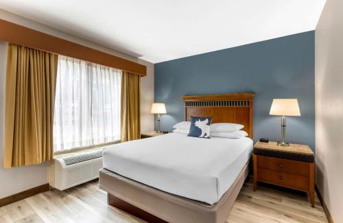 Lakewood Hotel | Best Western Denver Southwest