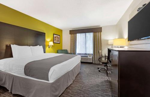 Ladson Hotel | Best Western Magnolia Inn and Suites