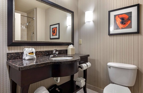 Euless Hotel | Best Western Plus DFW Airport West Euless