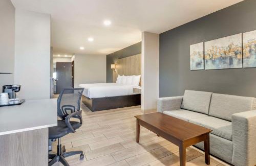 Edinburg Hotel | Best Western Plus Edinburg Inn & Suites