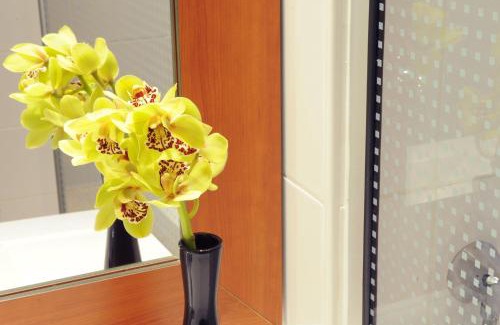 Chateauroux Hotel | Best Western Plus Hôtel Colbert