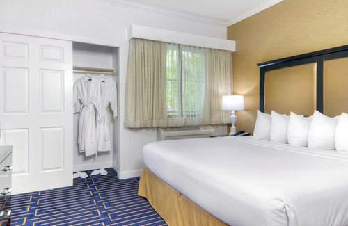 Downtown Hotel | Best Western Plus Palm Court Hotel