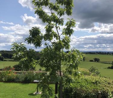 Newent Apartment | Betula Views Studio