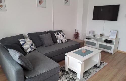 Municipality of Krizevci Apartment | Bibas