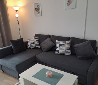 Municipality of Krizevci Apartment | Bibas