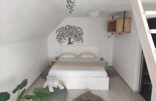 Zegelsem Apartment | * Biezoe *
