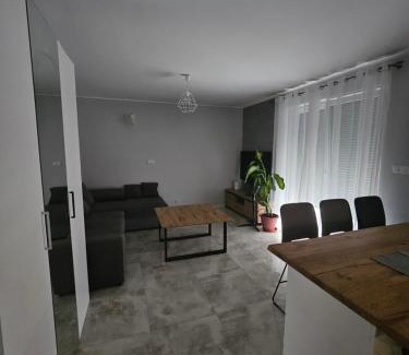 Swidnica Apartment | Bike Center 1 apartament